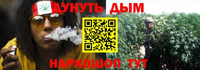 Альфа ПВП Лесосибирск